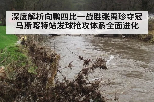 深度解析向鹏四比一战胜张禹珍夺冠马斯喀特站发球抢攻体系全面进化