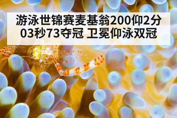 游泳世锦赛麦基翁200仰2分03秒73夺冠 卫冕仰泳双冠