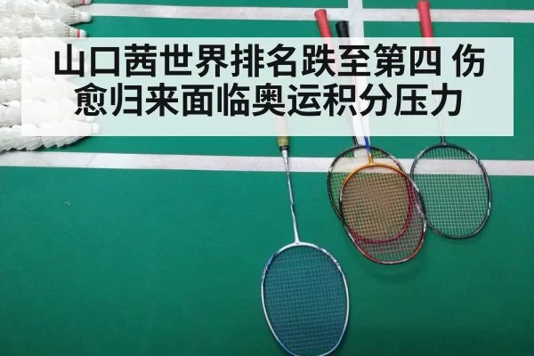 badminton match court